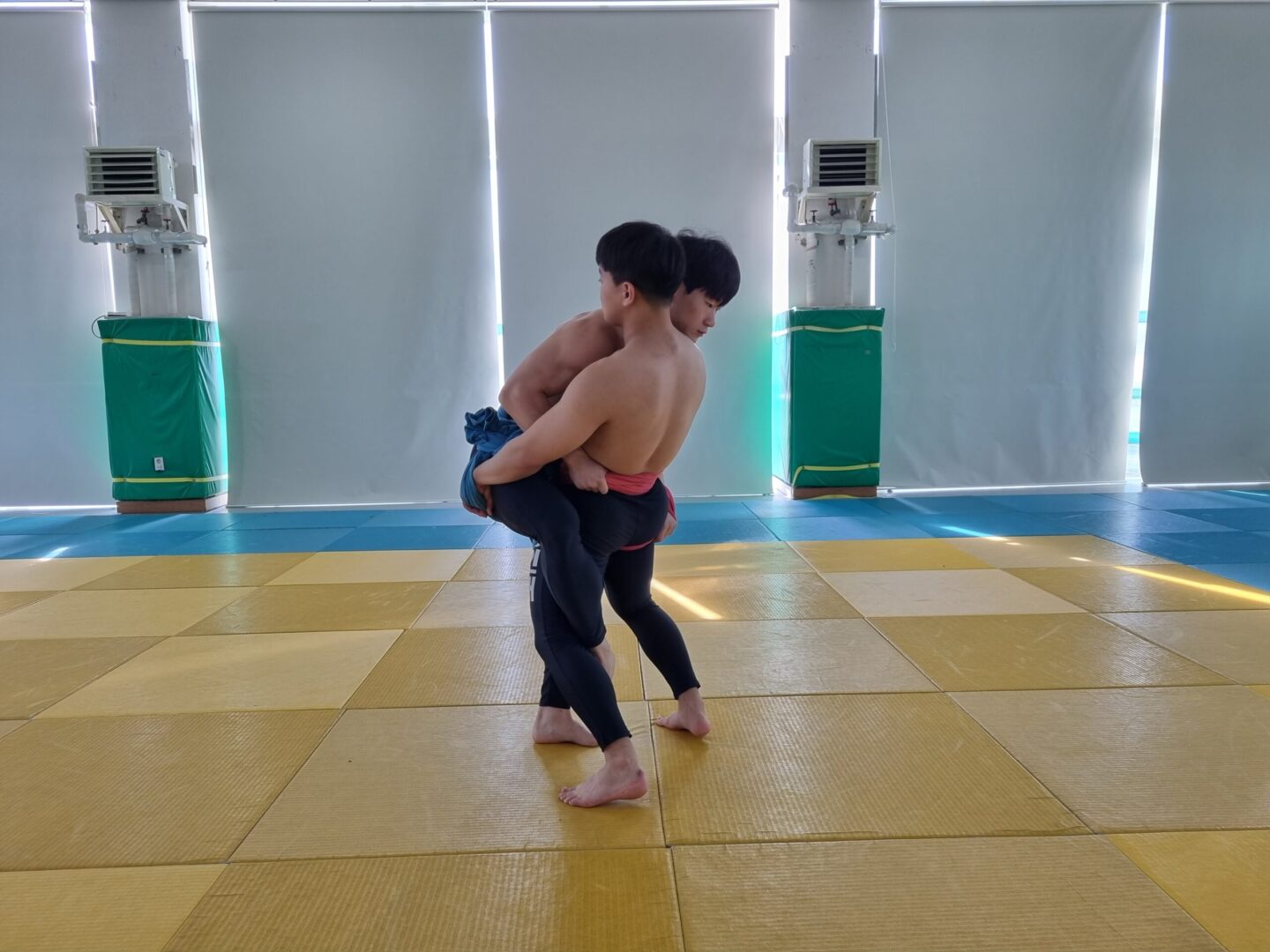 덮걸이