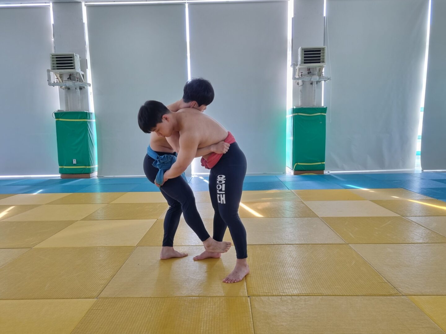 앞다리차기