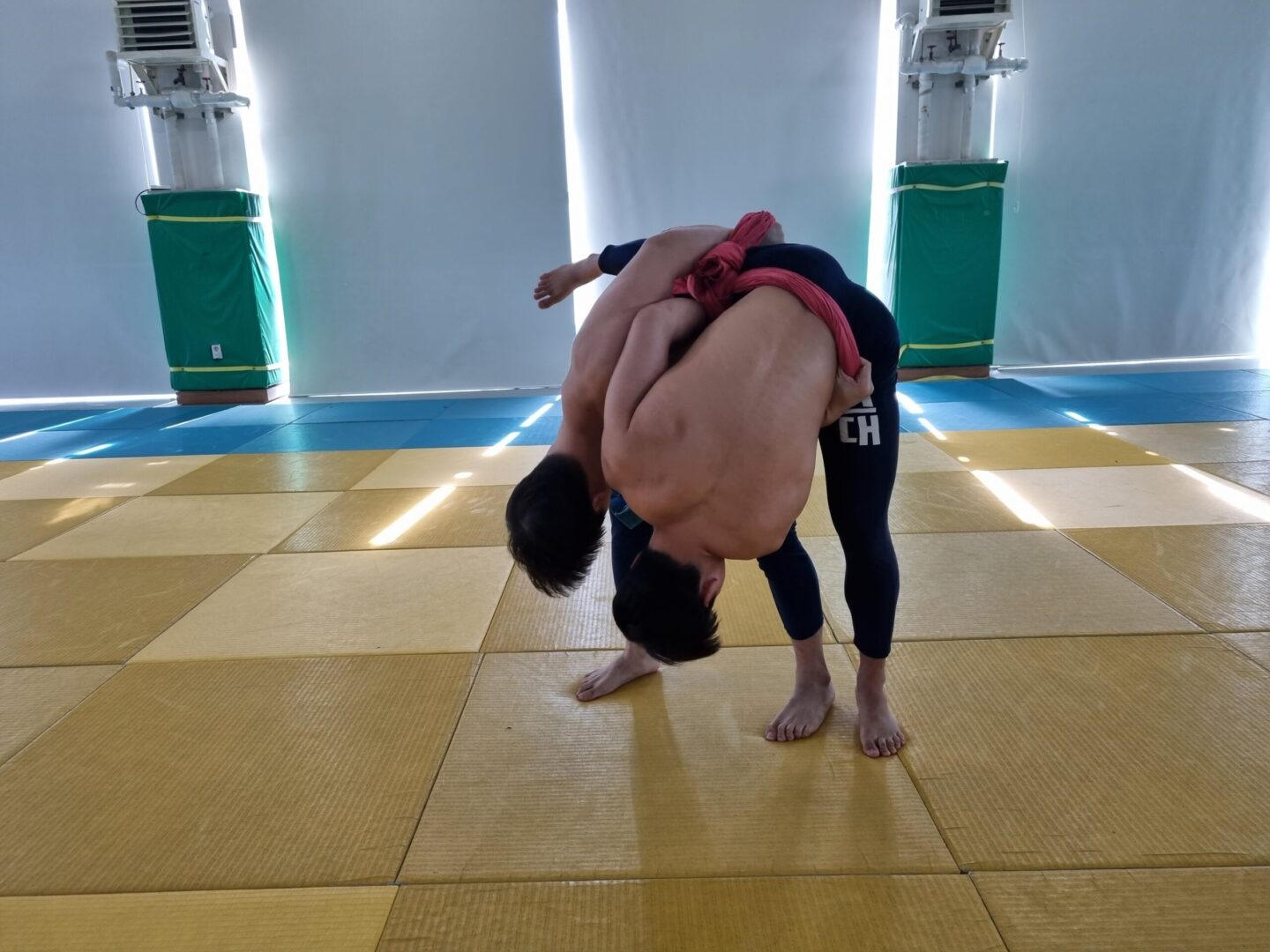 돌림배지기