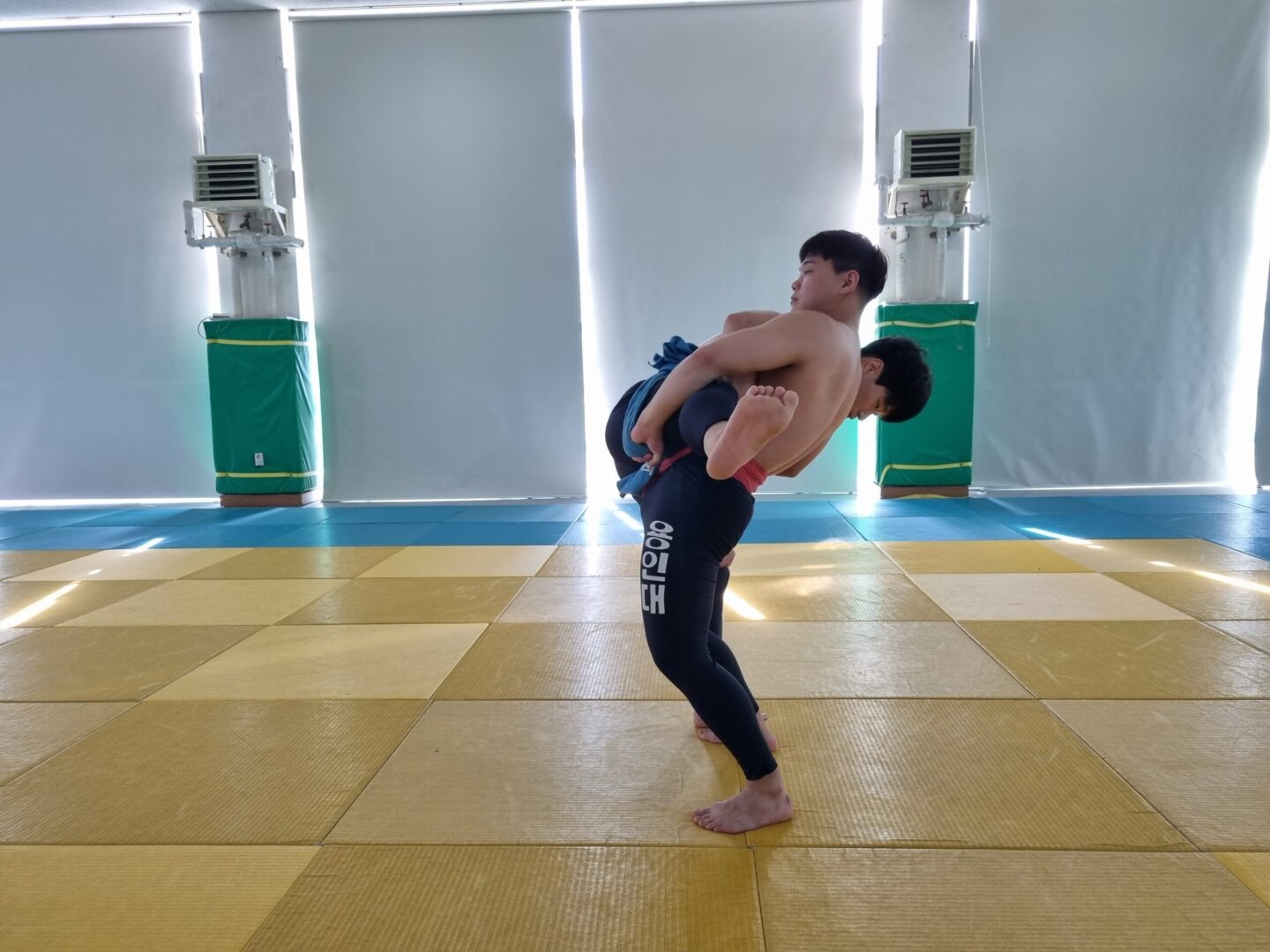들어튕겨배지기
