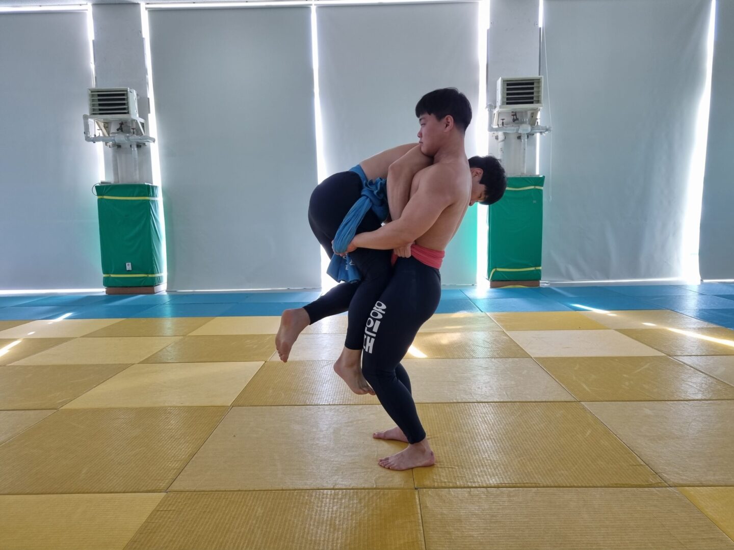 틀며튕겨배지기