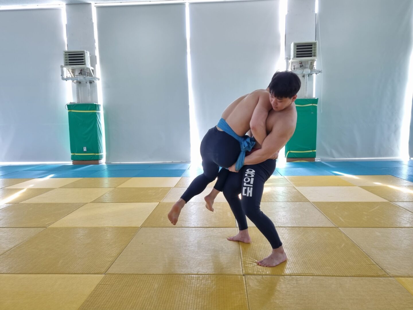 들어잡채기