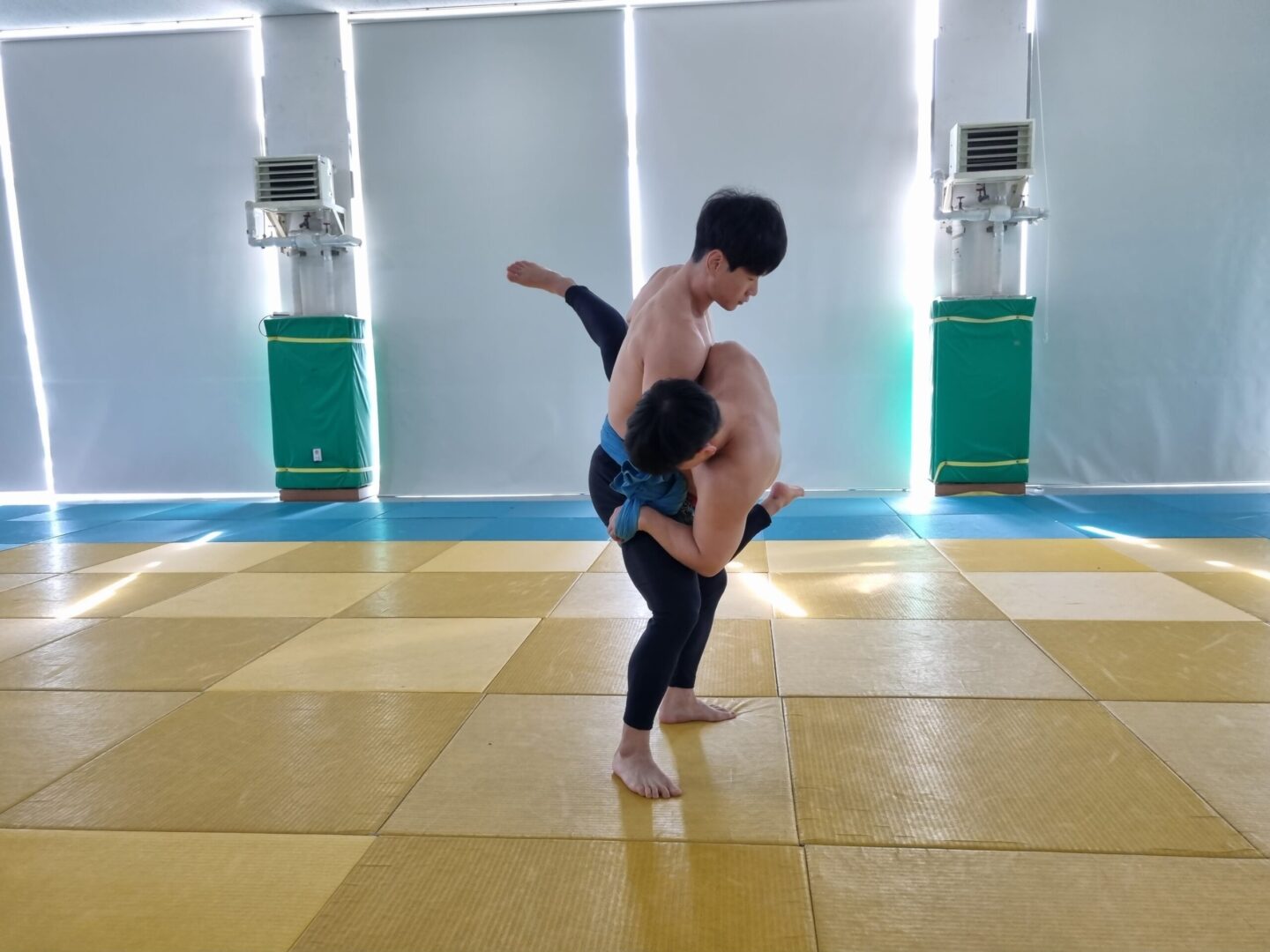 들안아놓기