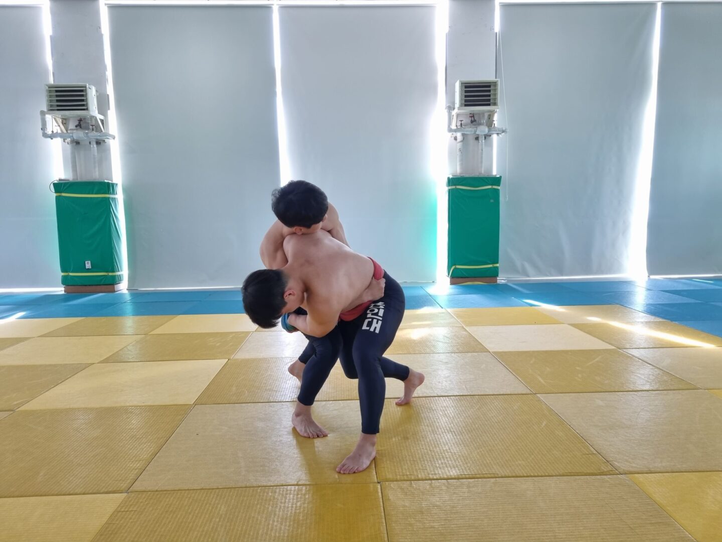 잡채기