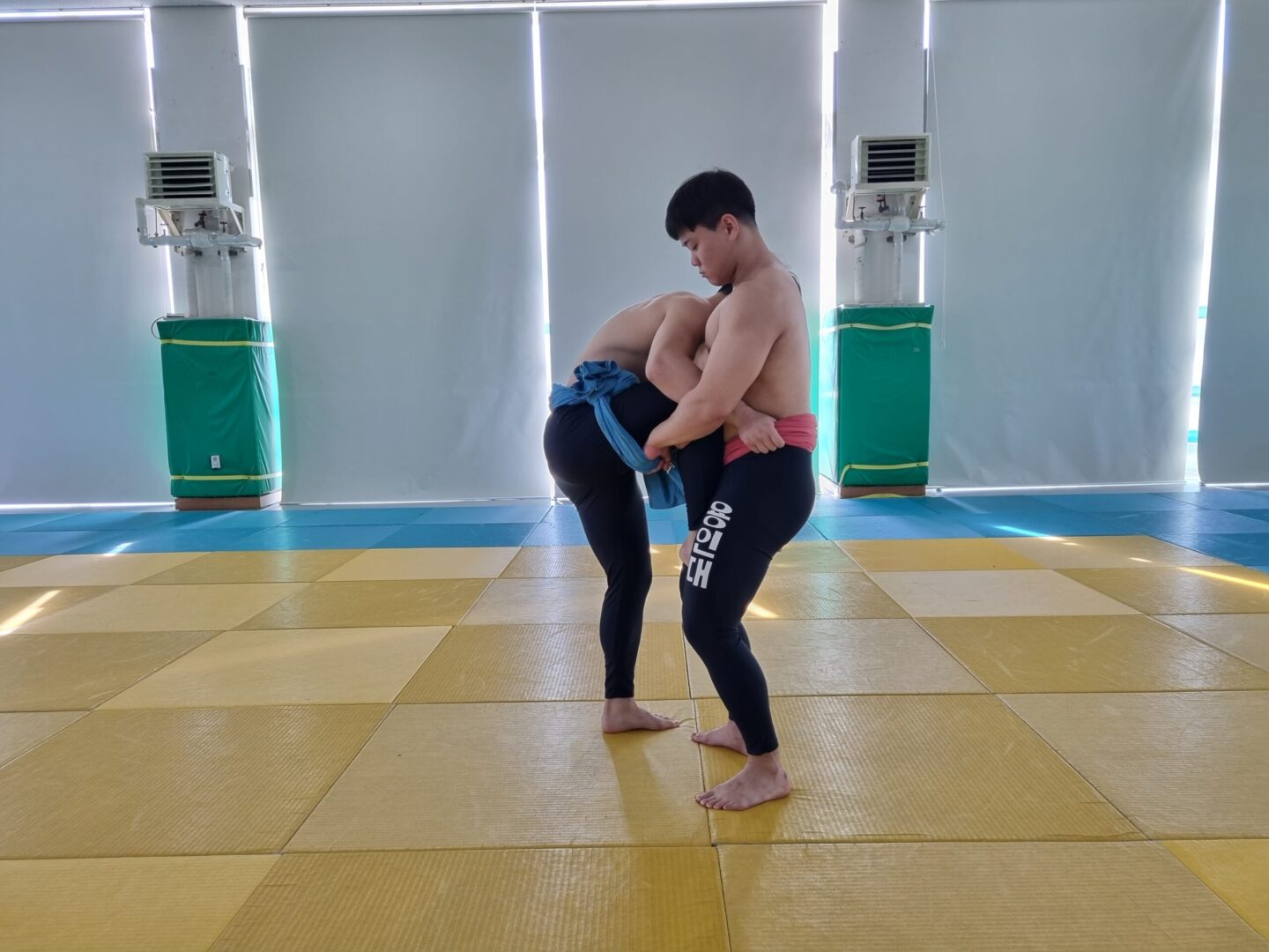 앞다리들기